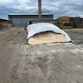 Farma czech beef Farma Býchory